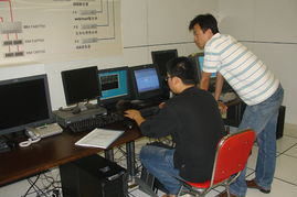 2009年度塔管局信息化系统运行维护保障工作成效显著