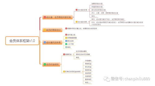 会员积分体系产品设计与信息系统运行维护服务